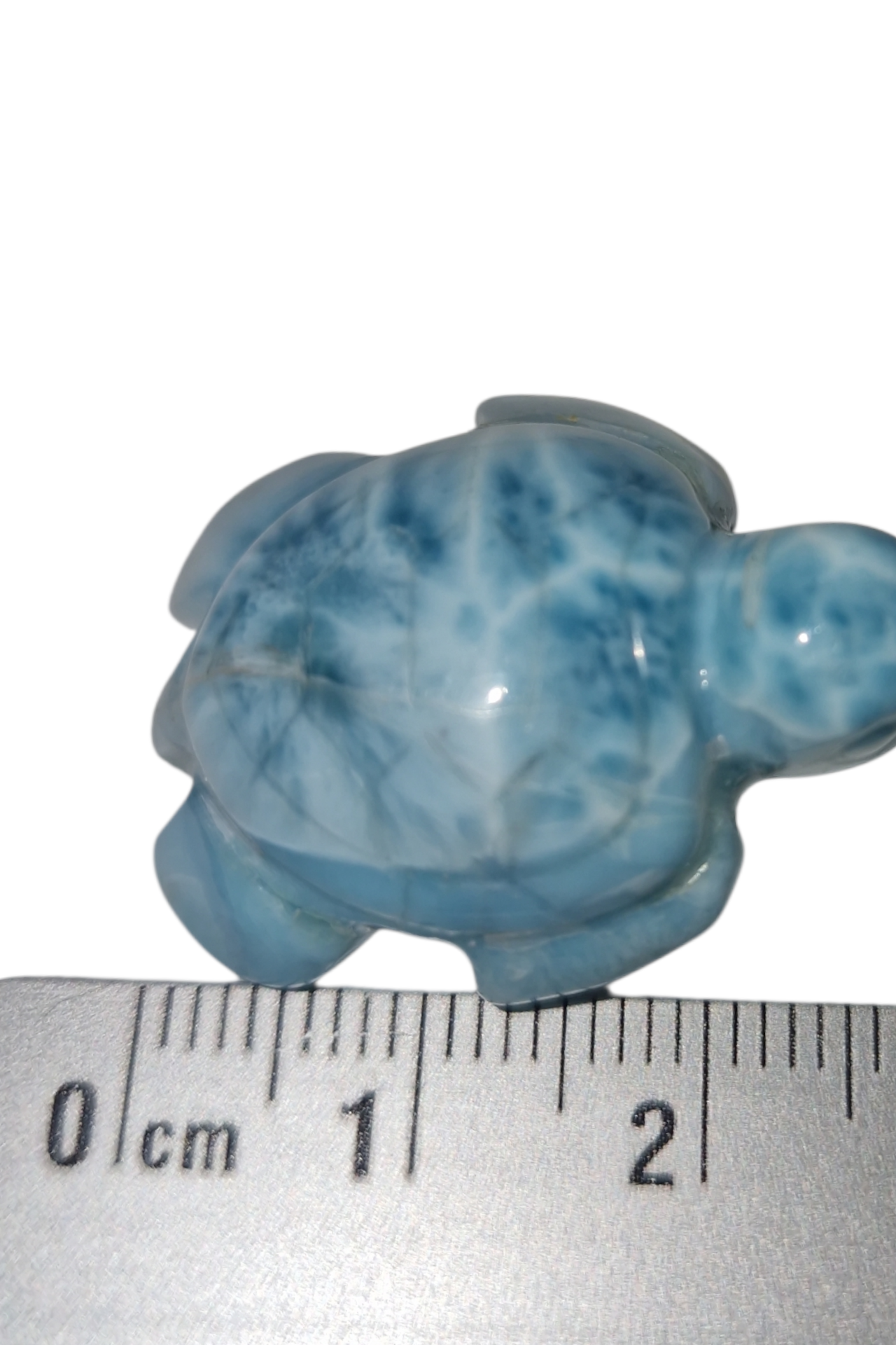Larimar Schildkröte