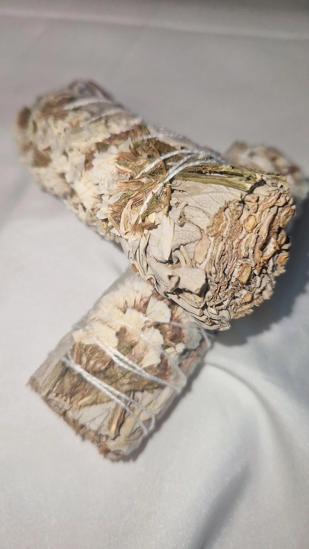 Salbei Sinuata Bündel