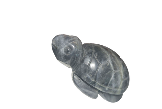 Labradorit Schildkröte