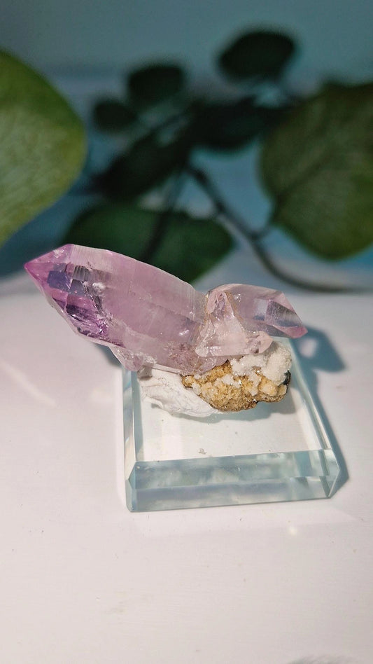 Vera cruz Amethyst