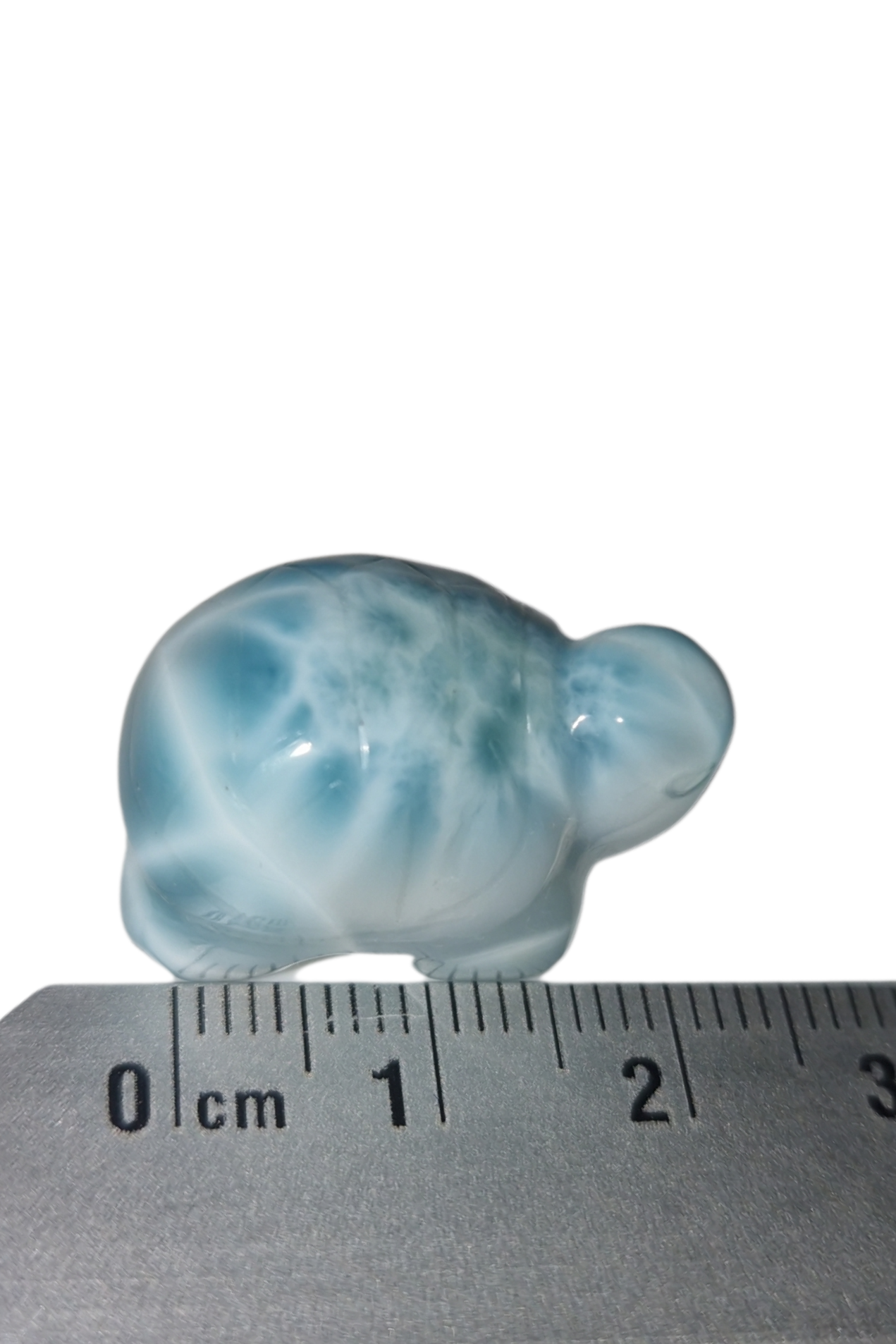 Larimar Schildkröte