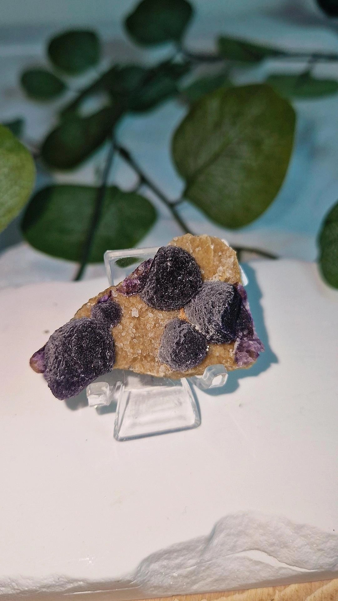 Blueberry Fluorit