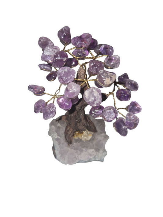 Amethyst Baum