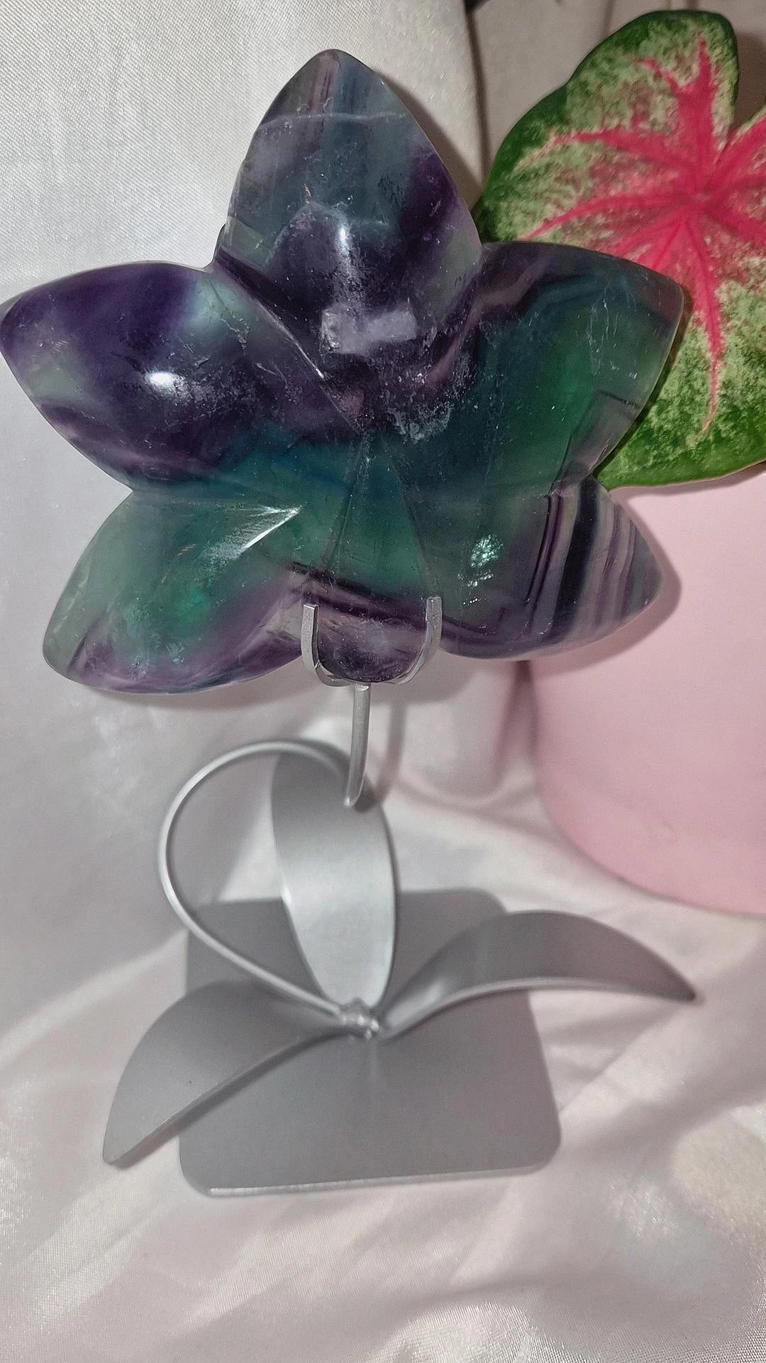 Fluorit Orchidee