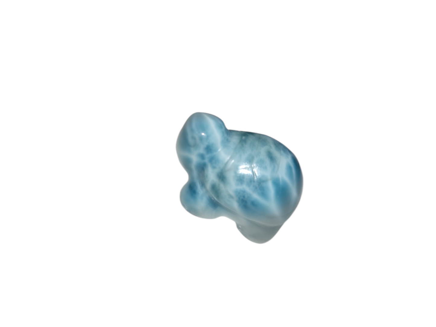 Larimar Schildkröte