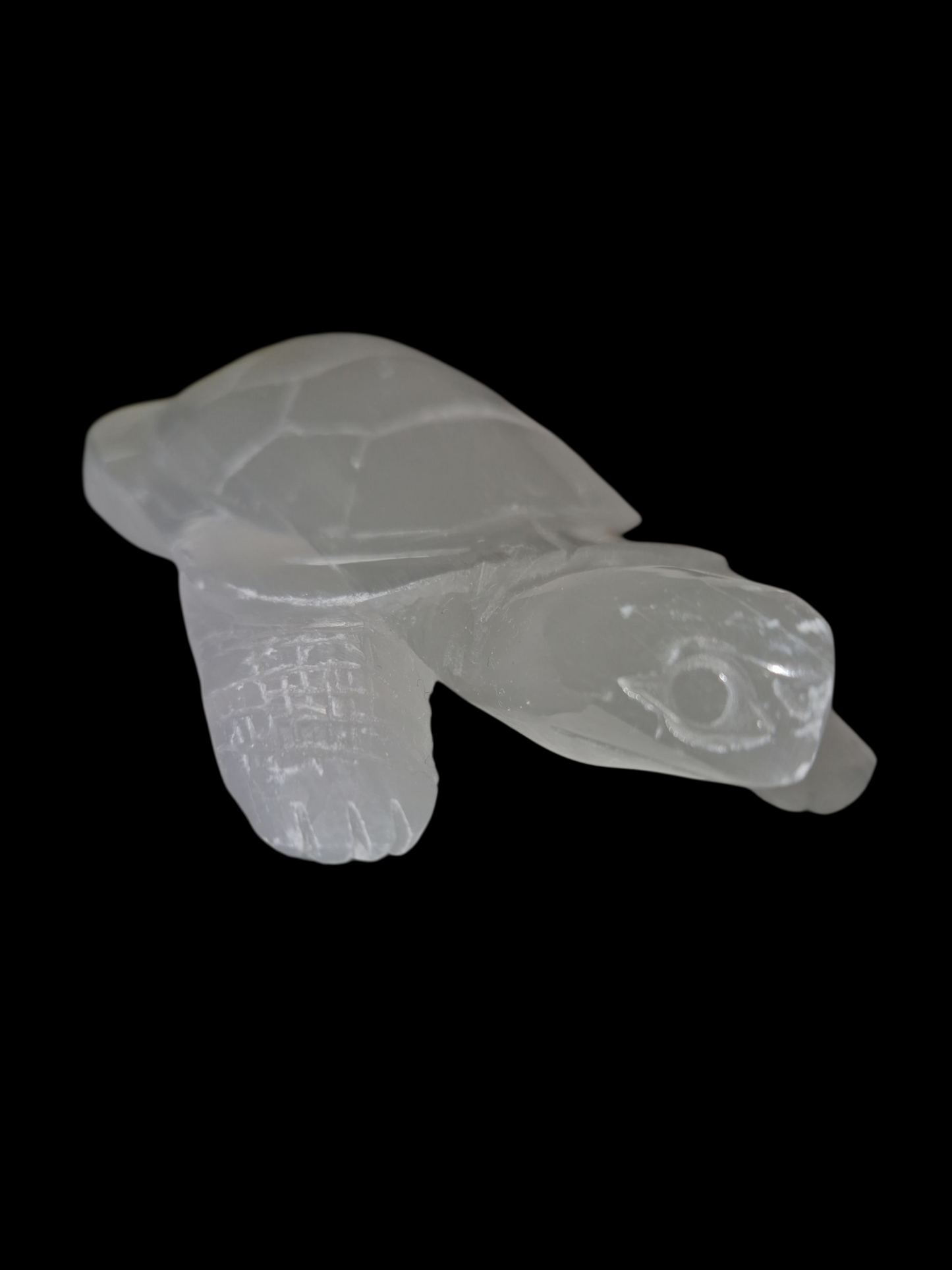 Selenit Schildkröte