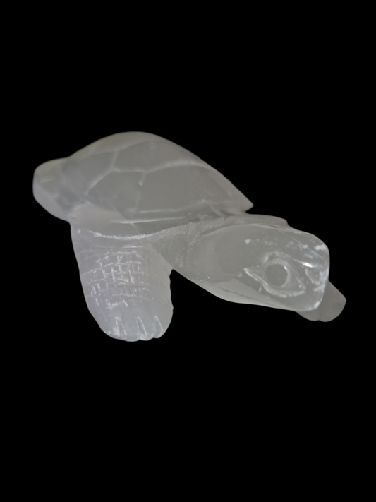Selenit Schildkröte
