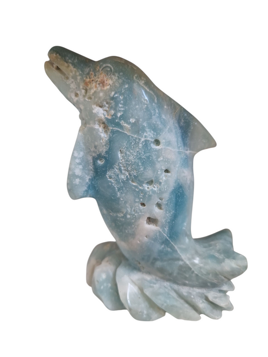 Caribeen calcit Delphin