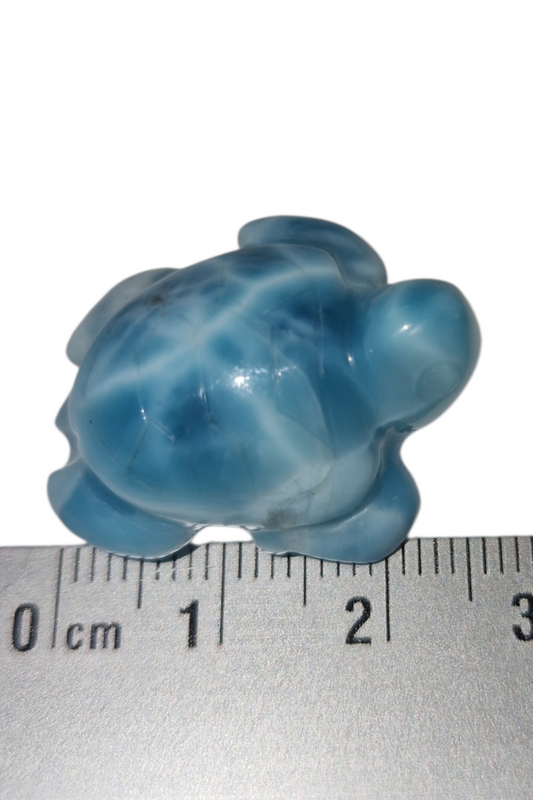 Larimar Schildkröte