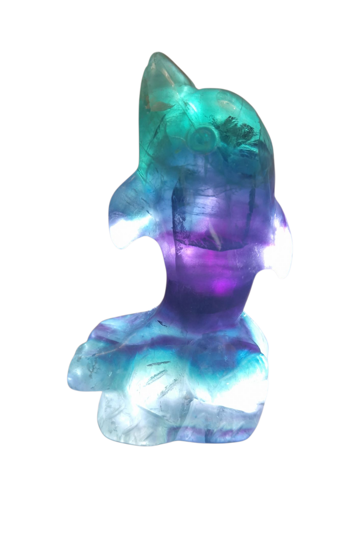 Fluorid Delphin