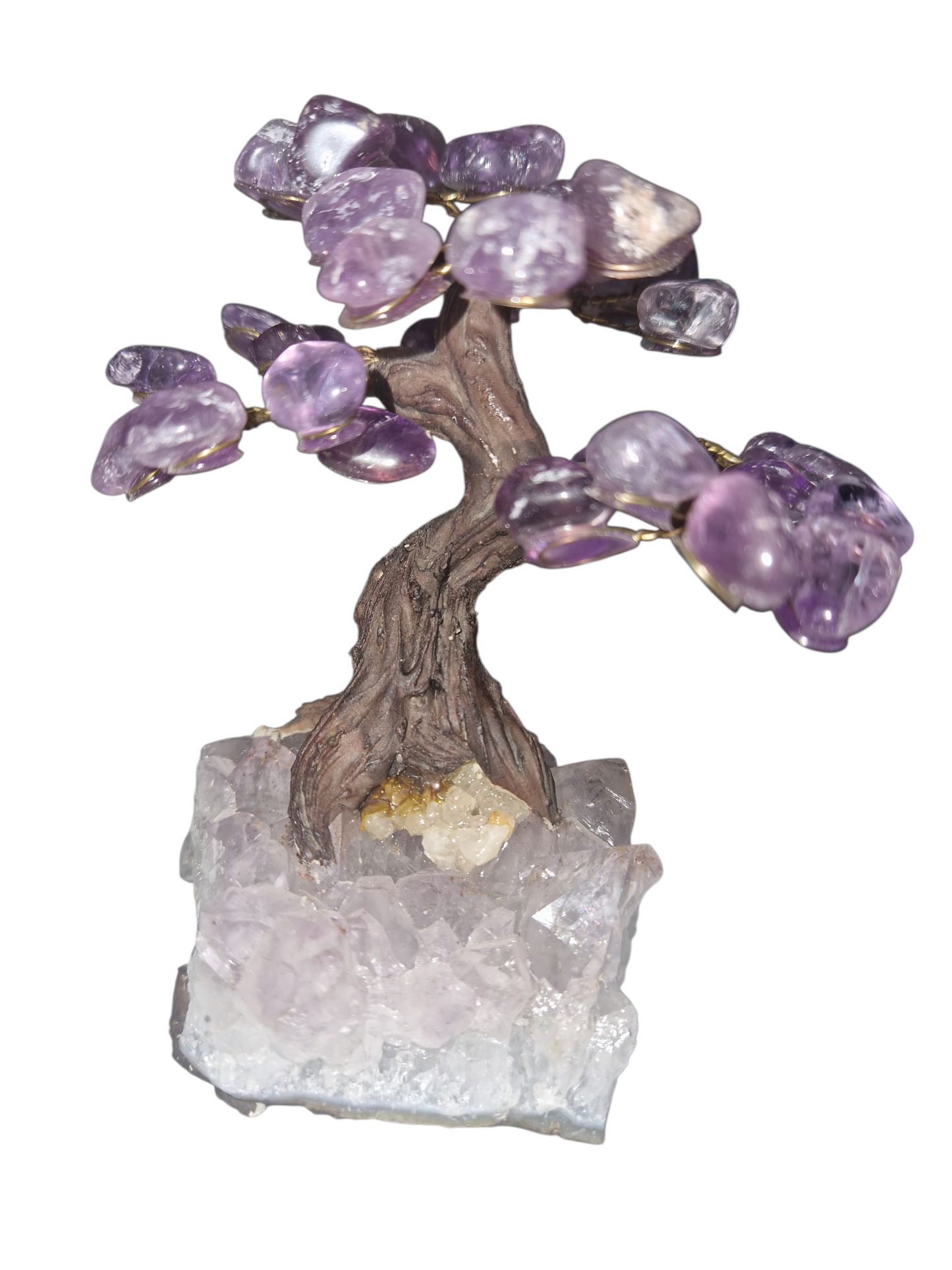 Amethyst Baum