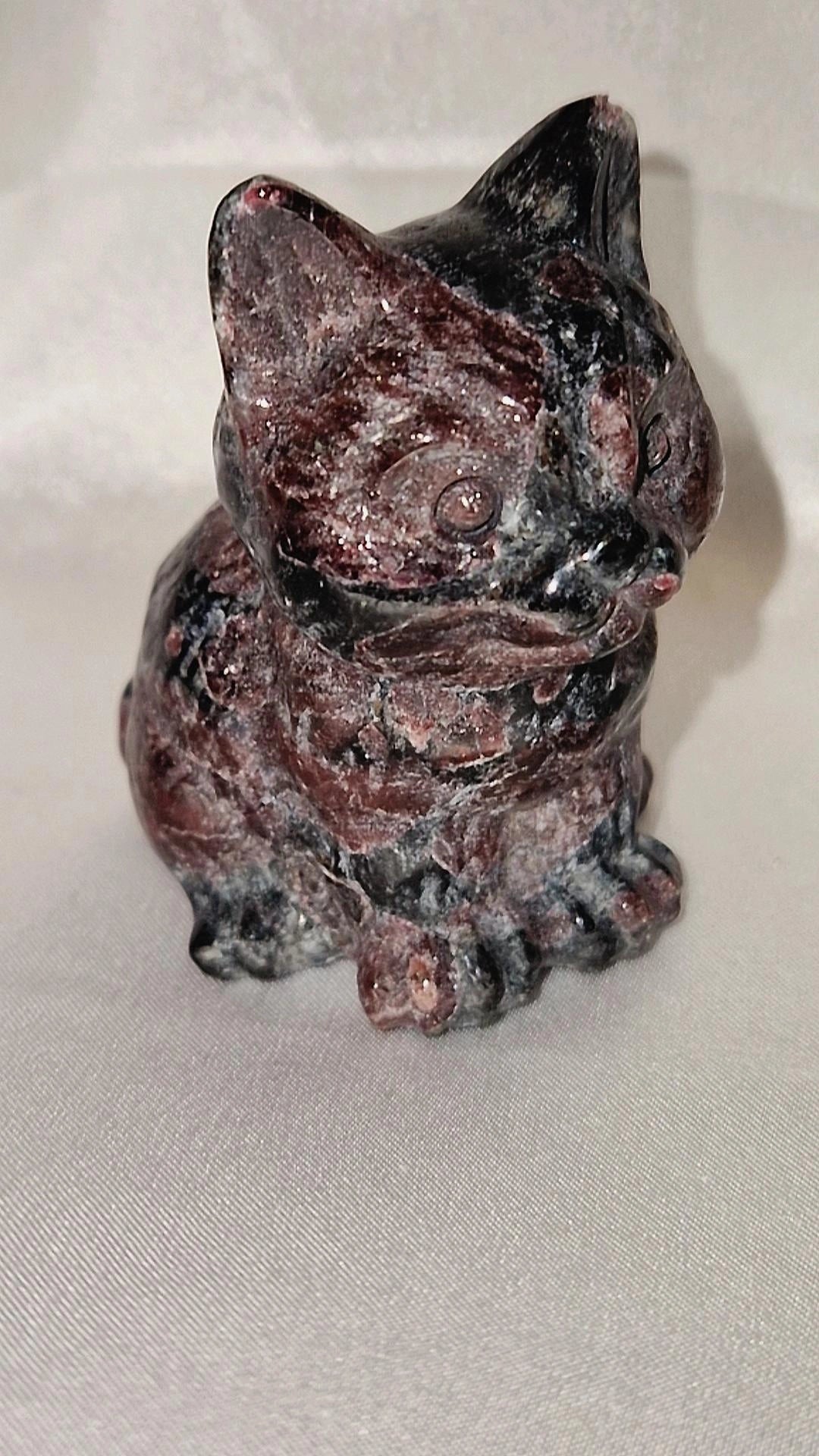 Katze Granat