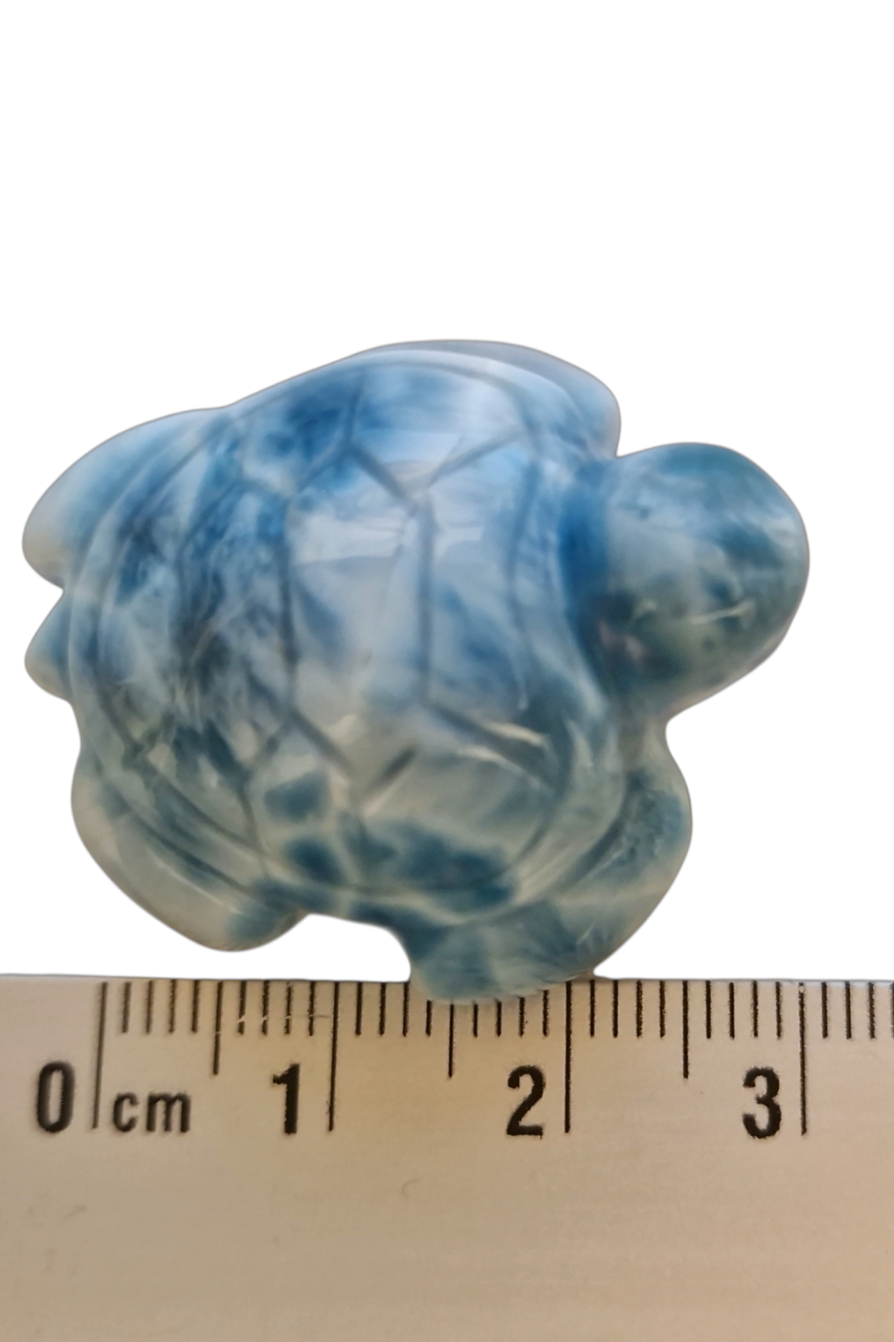 Larimar Schildkröte