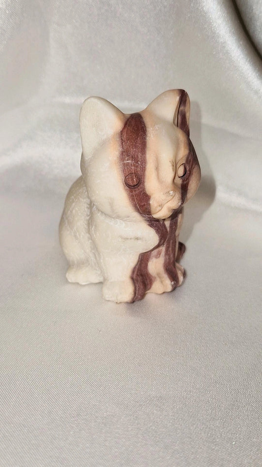 Katze Rot Jaspis Jade