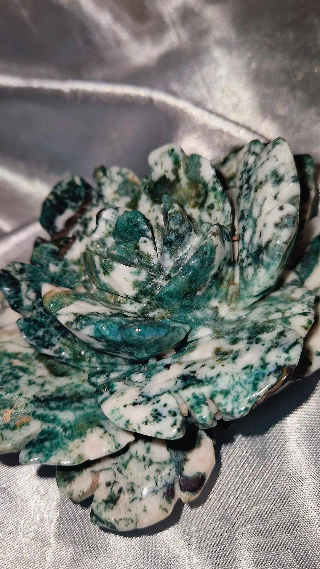 Mossachat Blume