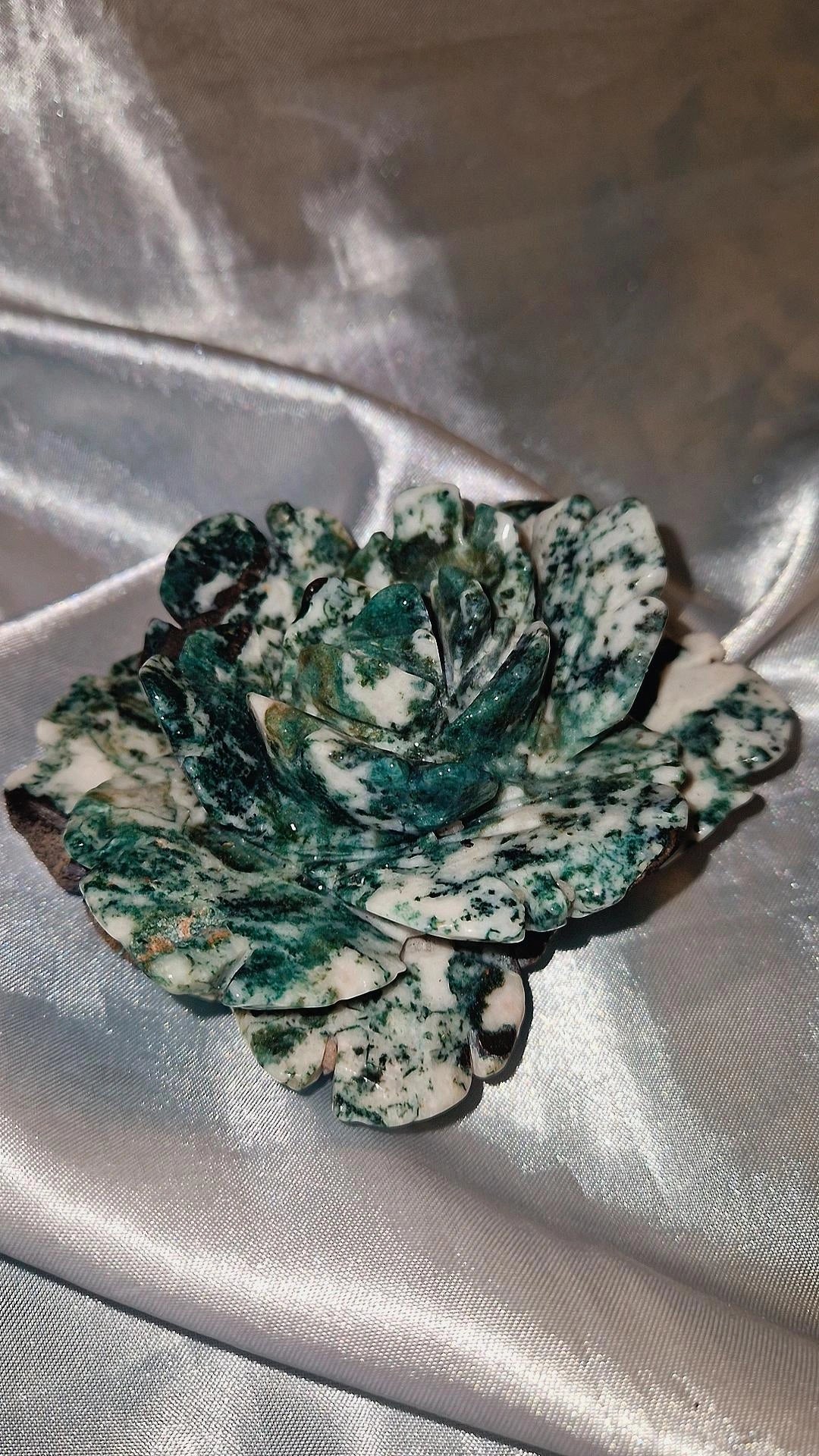 Mossachat Blume