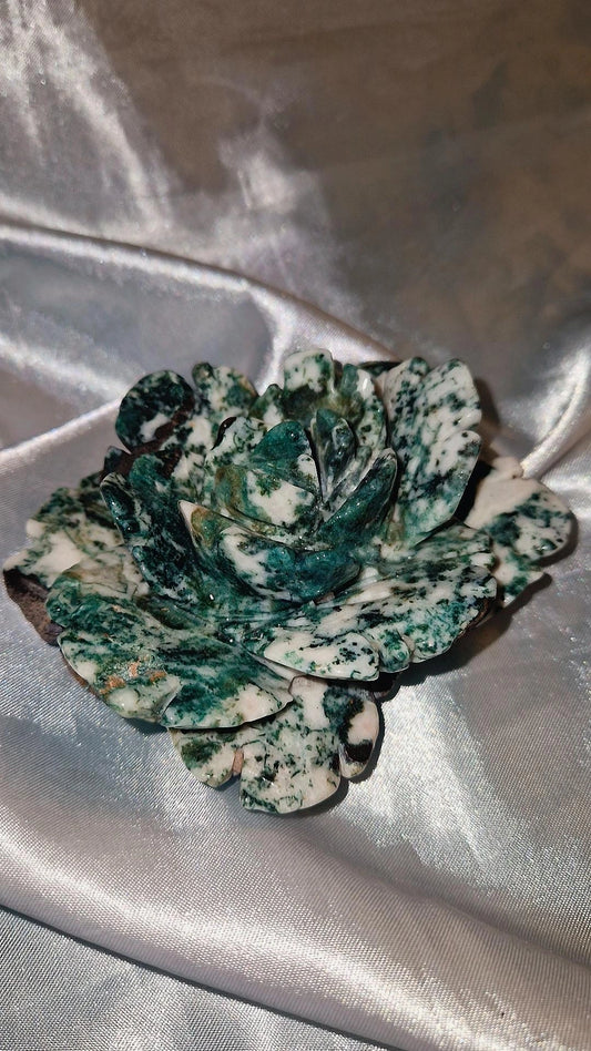 Mossachat Blume