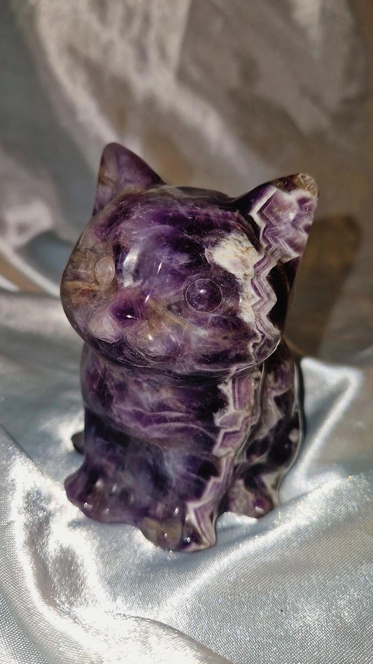 Amethyst Katze