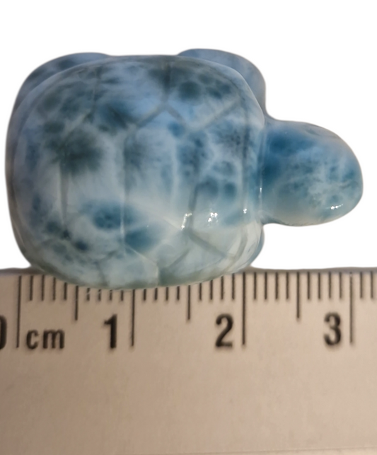 Larimar Schildkröte