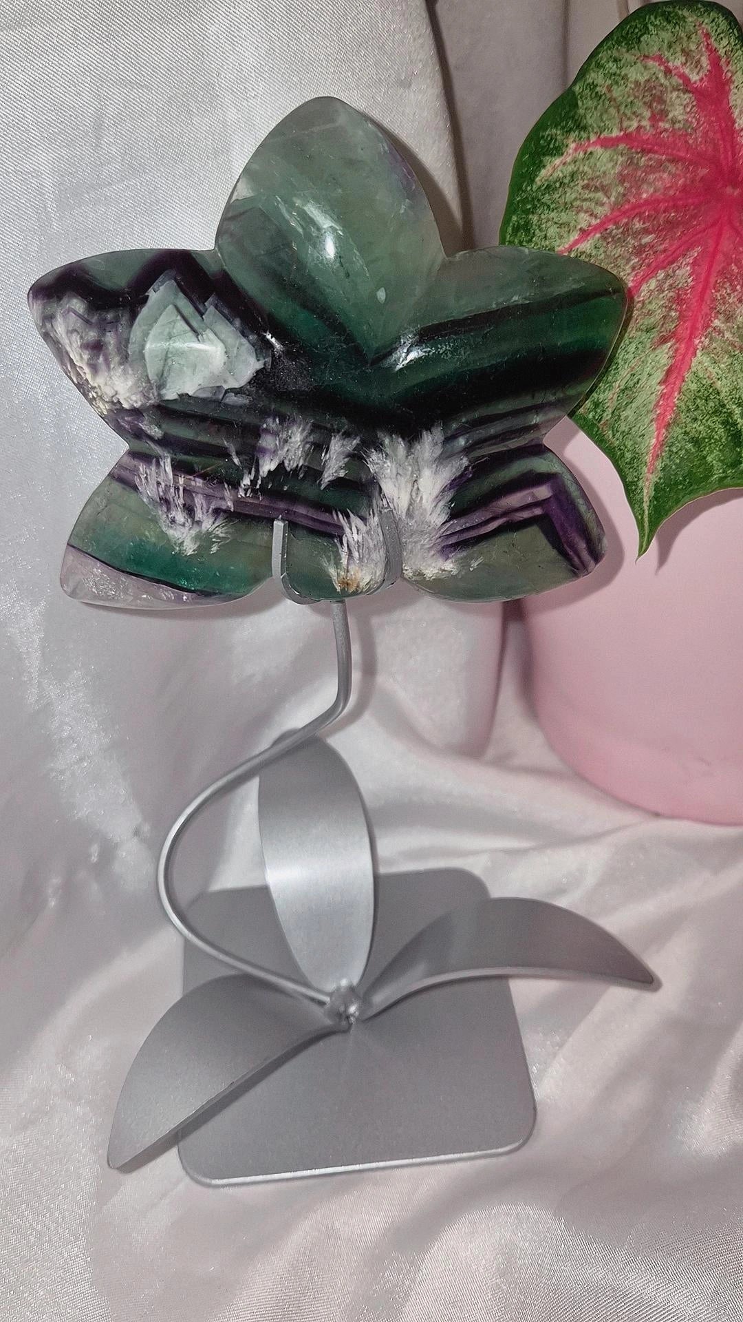 Feder Fluorit Orchidee