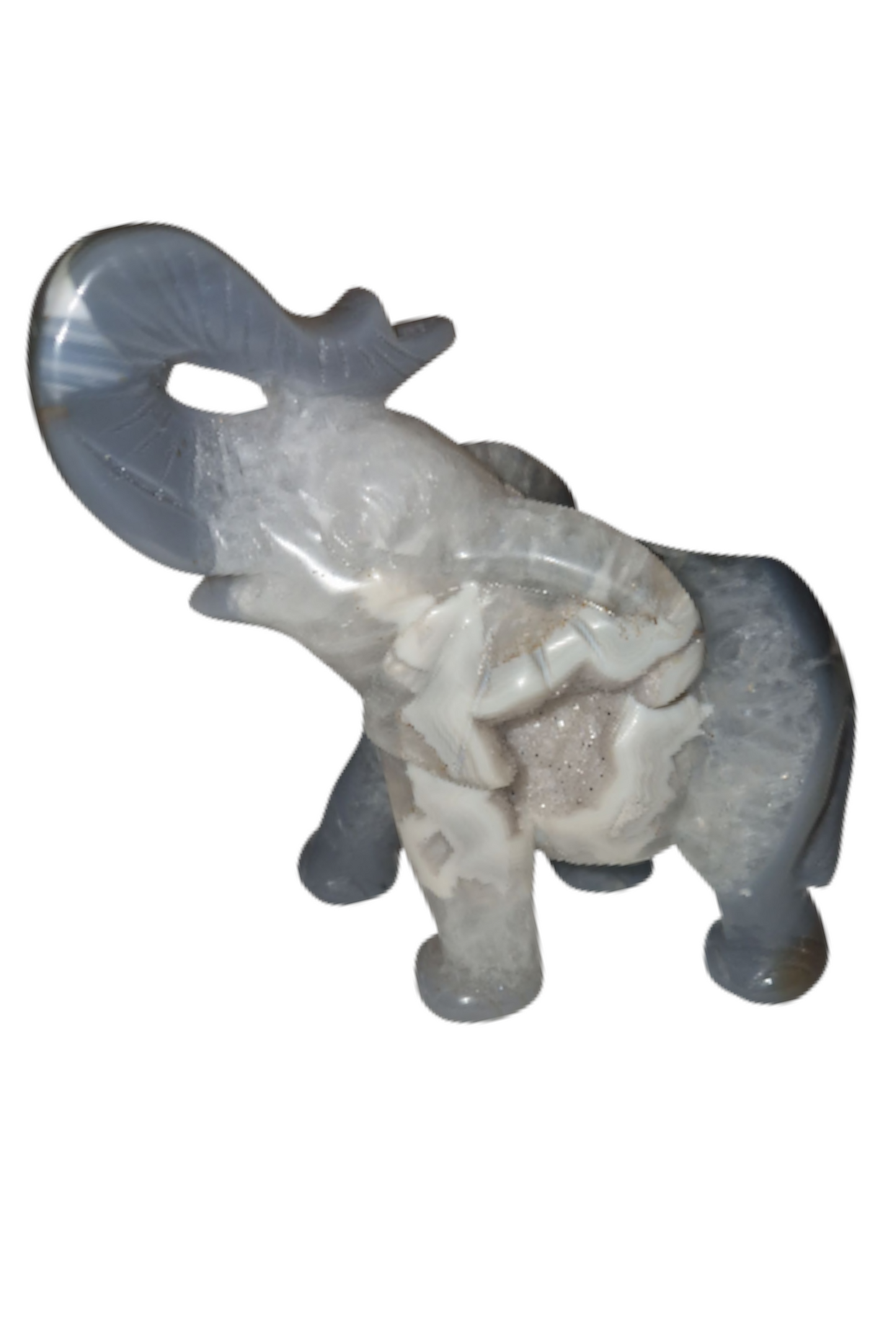 Achat Elephant