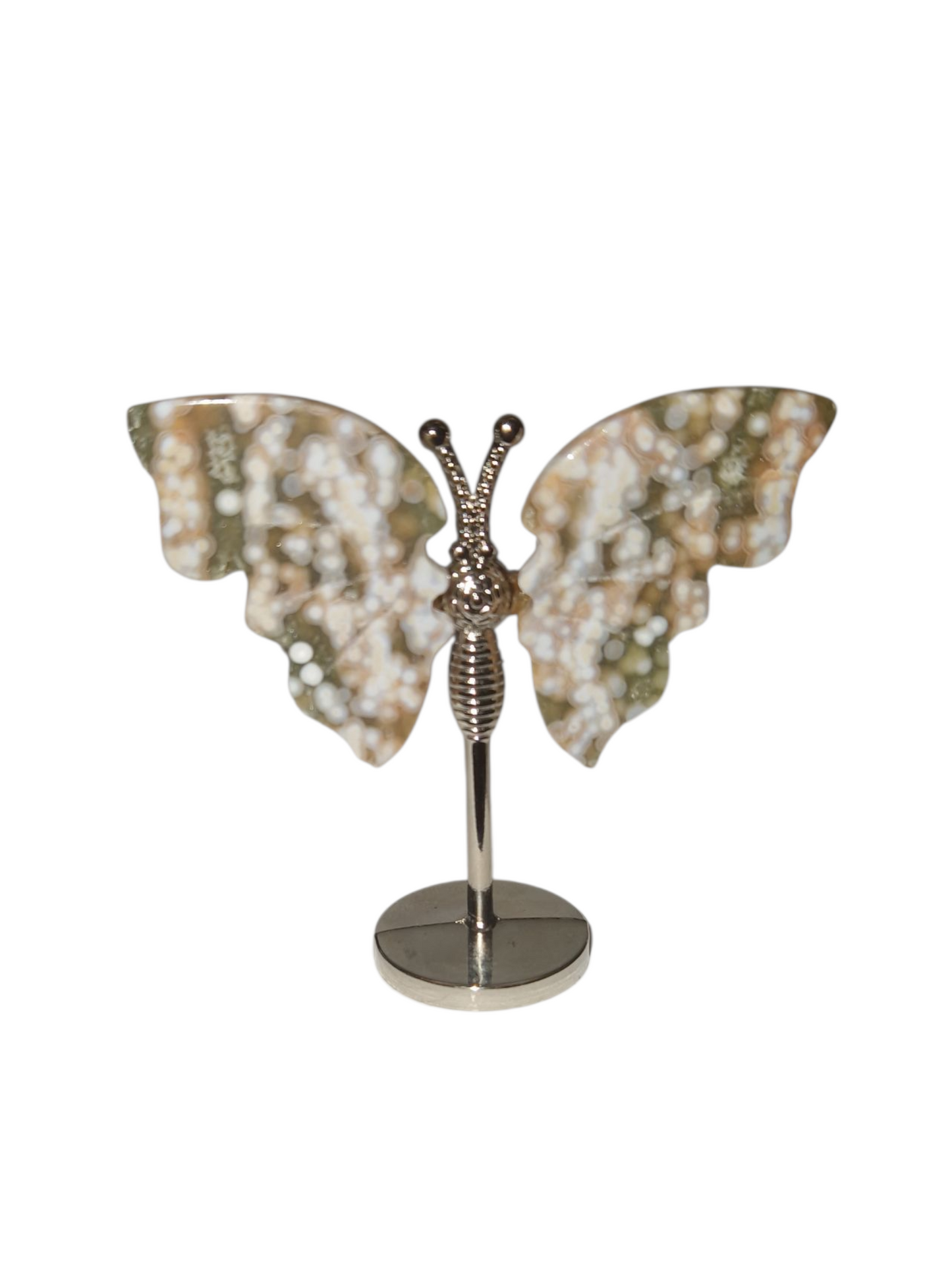 Ocean Jaspis Flügel