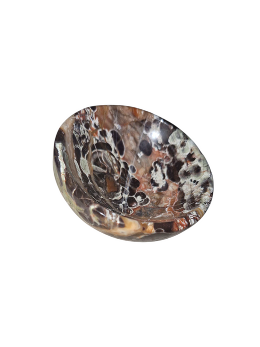 Achat Schale (Money agat)