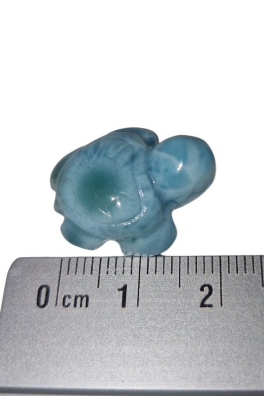 Larimar Schildkröte