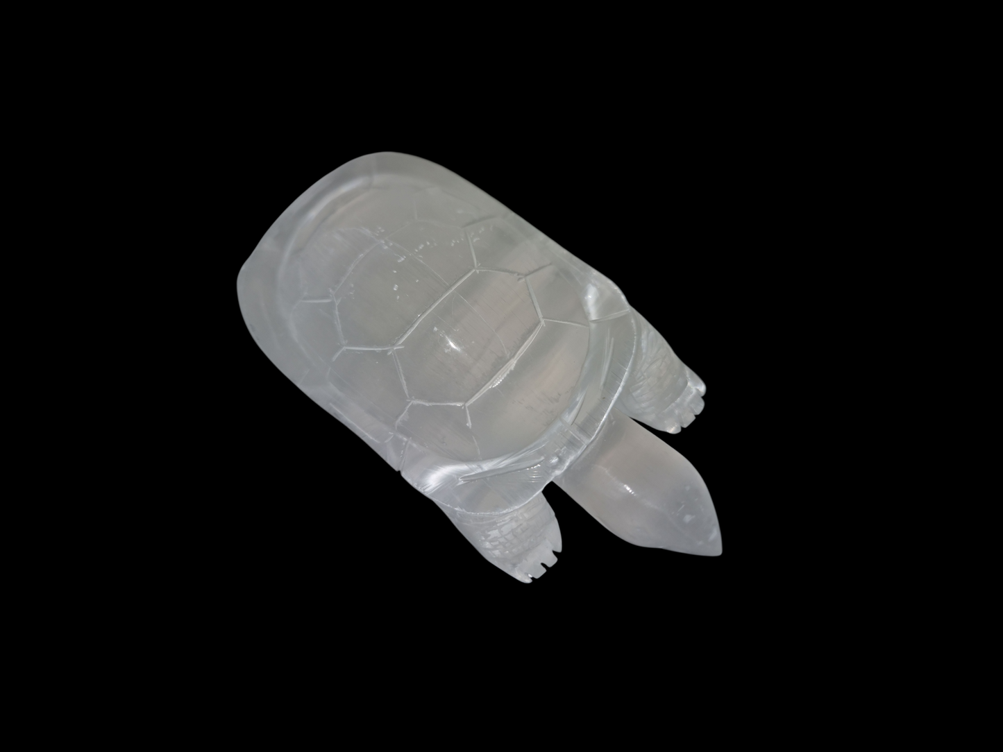 Selenit Schildkröte