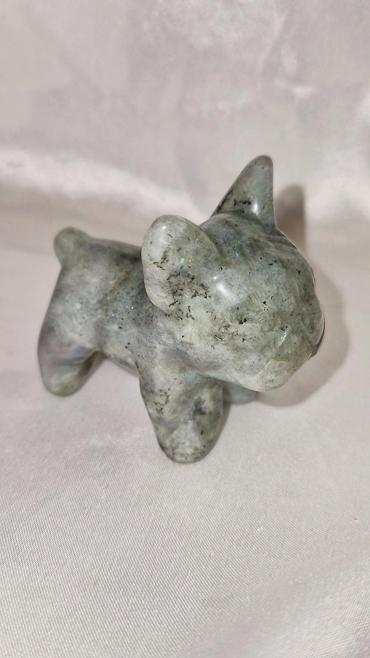 Frenchy Hund Labradorit