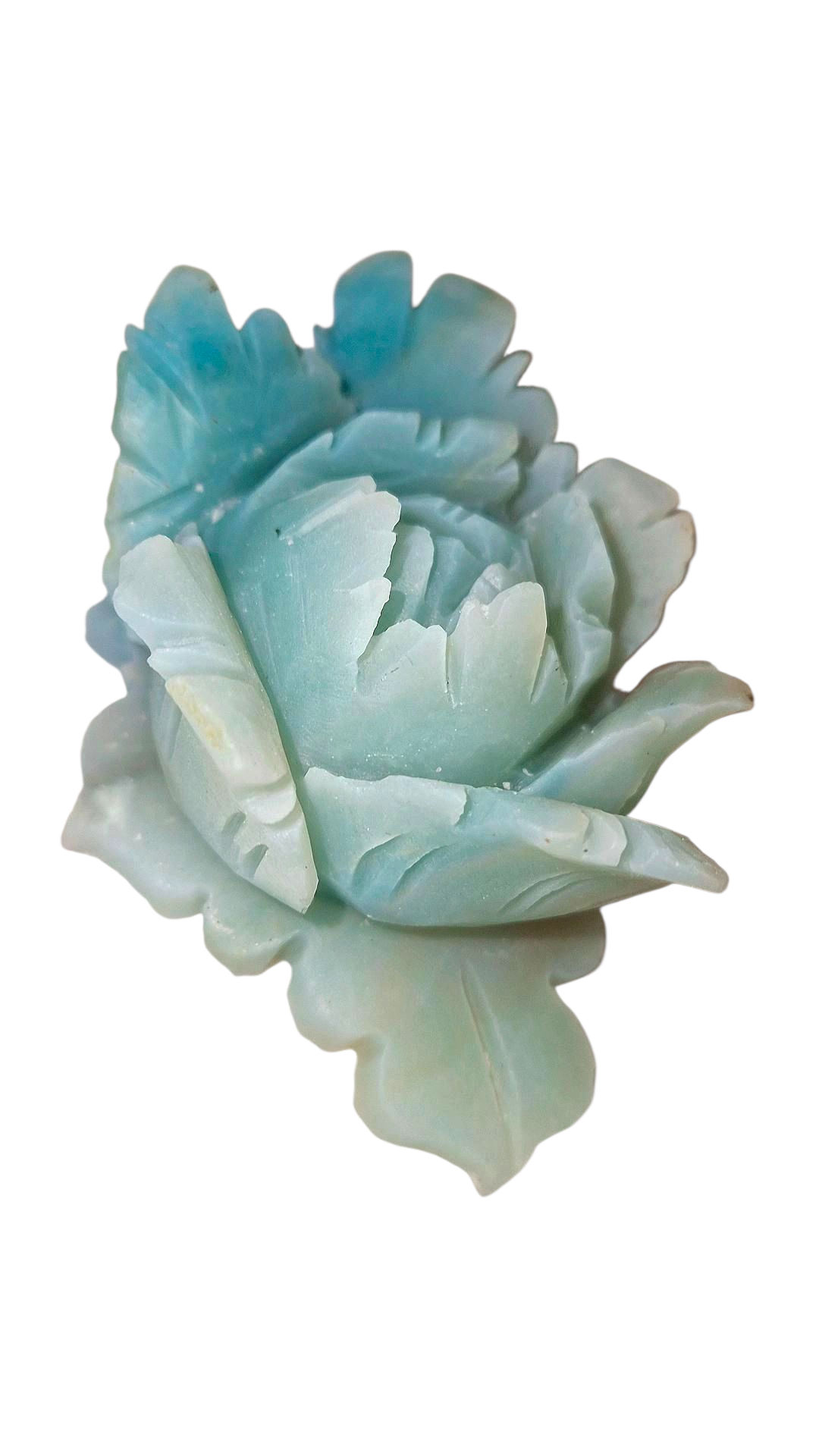 Karibische Calcit Blume