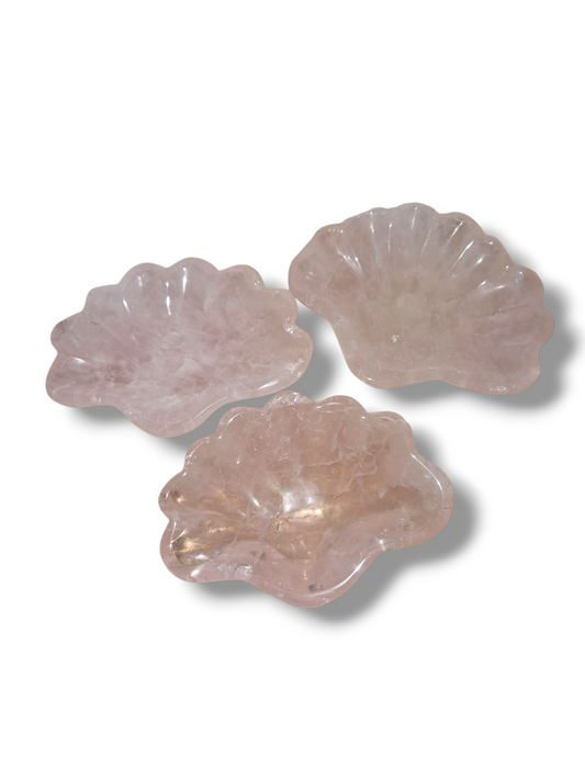 Rosenquarz Schale Muschel