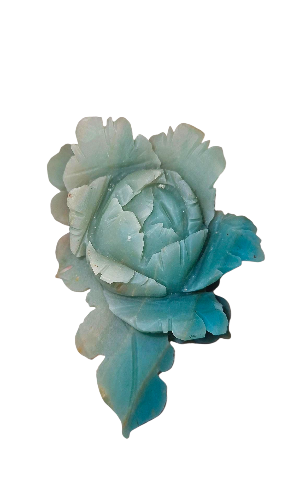 Karibische Calcit Blume