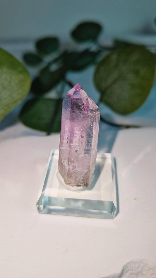 Vera cruz Amethyst