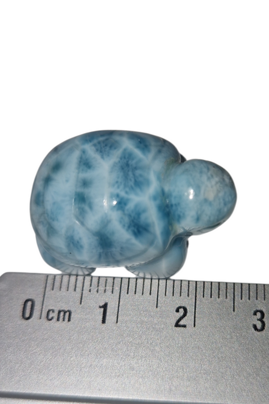 Larimar Schildkröte