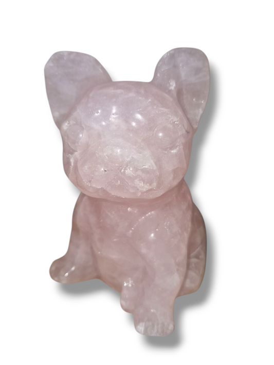 Rosenquarz Bulldogge