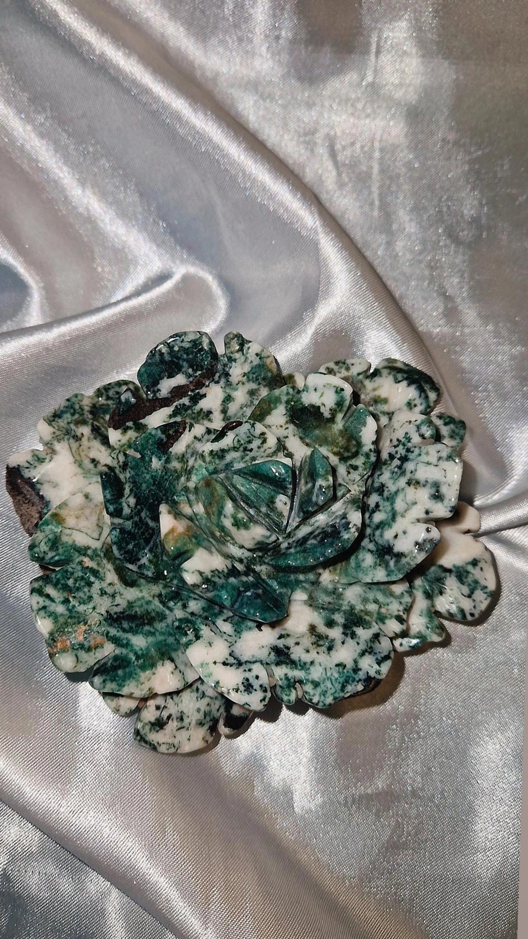 Mossachat Blume