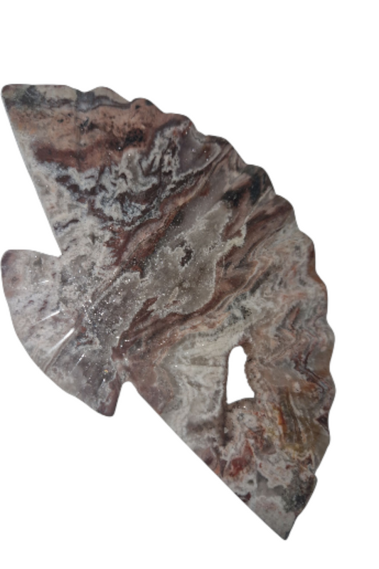 Schwarzer Mossachat Fecher