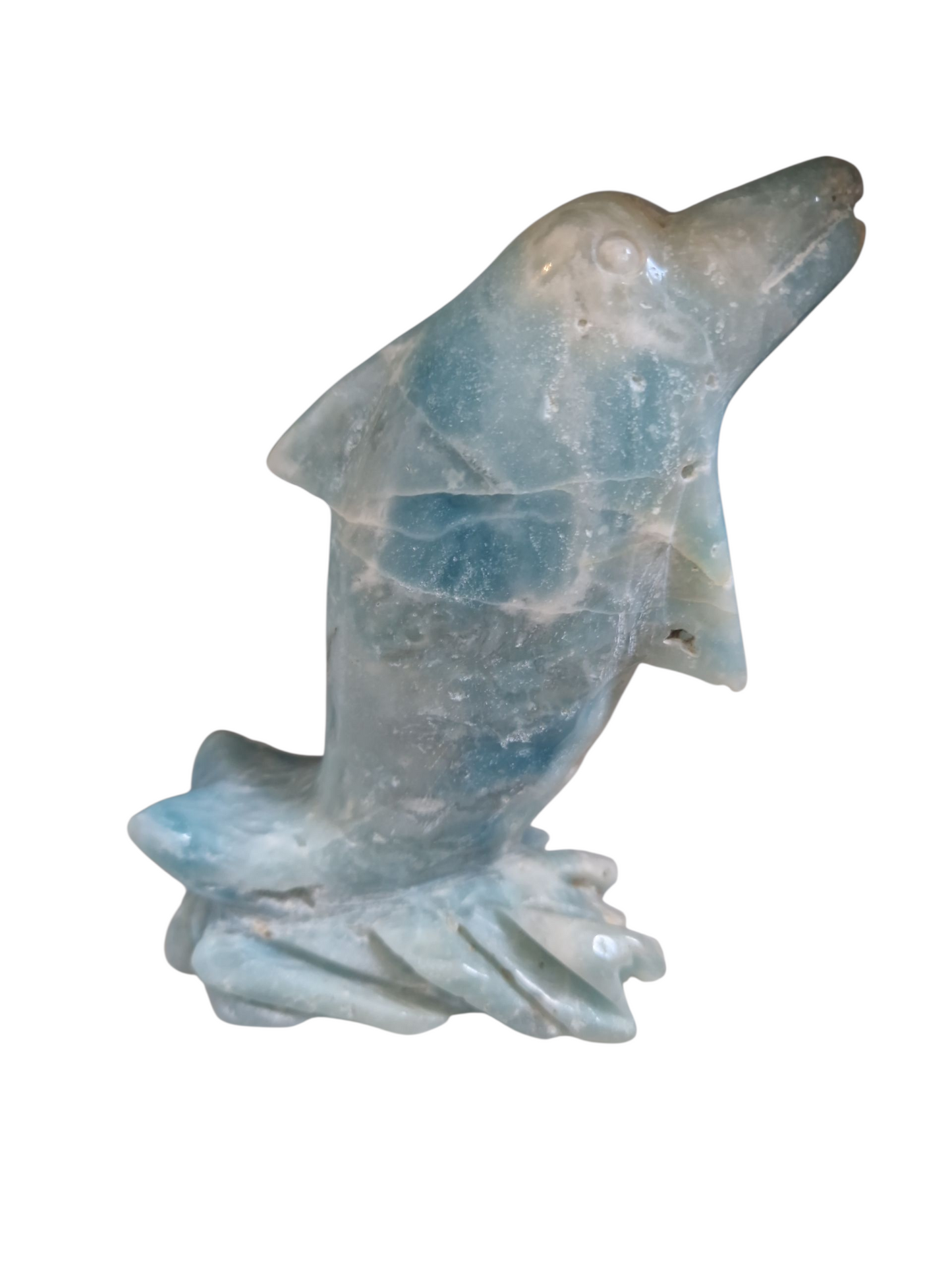 Caribeen calcit Delphin