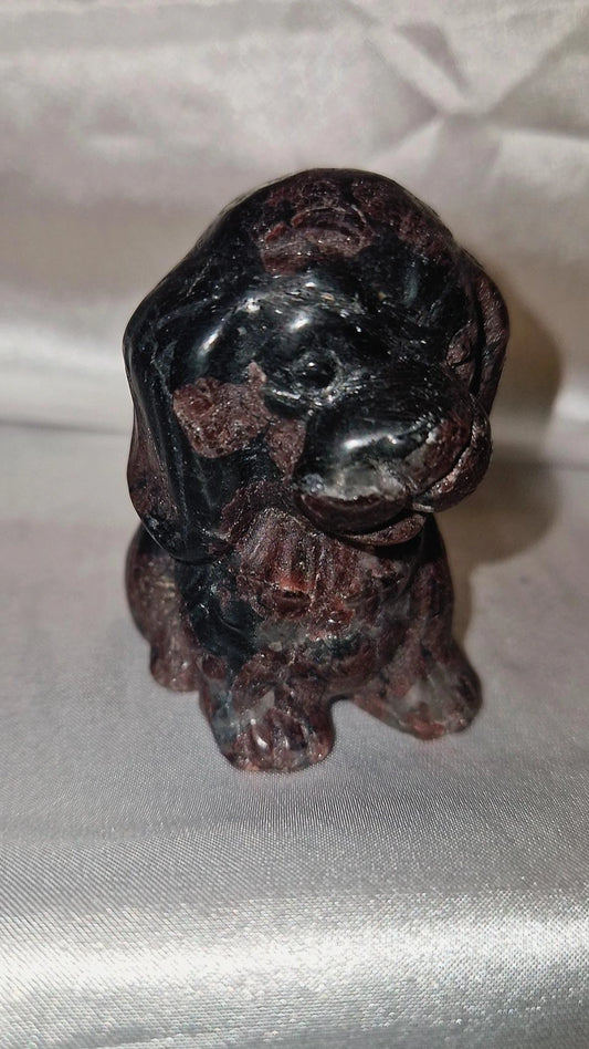 Hund Granat